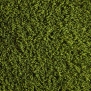 Искусственная трава Lano Pro Lawn Florence зеленый — купить в Москве в интернет-магазине Snabimport