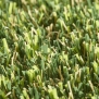 Искусственная трава Lano Pro Lawn Hedera зеленый
