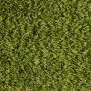 Искусственная трава Lano Pro Lawn Sirius зеленый — купить в Москве в интернет-магазине Snabimport