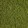 Искусственная трава Lano Easy Lawn-Valeria зеленый — купить в Москве в интернет-магазине Snabimport