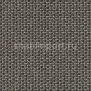 Ковровое покрытие Carpet Concept Lay 53370