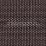 Ковровое покрытие Carpet Concept Lay 6703