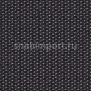 Ковровое покрытие Carpet Concept Lay 9156