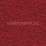 Ковровое покрытие Balsan Les First 570