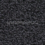 Ковровое покрытие Balsan Les First 970