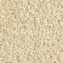 Ковровое покрытие Balsan Les Must 605 CHAMPAGNE