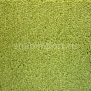 Ковровое покрытие Radici Pietro Lord LIME 245C