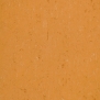 Натуральный линолеум Gerflor DLW Colorette LPX-131-016 оранжевый — купить в Москве в интернет-магазине Snabimport