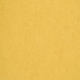 Натуральный линолеум Gerflor DLW Colorette LPX-131-071 желтый — купить в Москве в интернет-магазине Snabimport