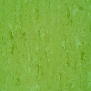 Натуральный линолеум Gerflor DLW Linodur LPX-151-011 зеленый — купить в Москве в интернет-магазине Snabimport