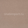 Ковровое покрытие Lano Zen 261 коричневый — купить в Москве в интернет-магазине Snabimport