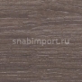 Плинтус Dollken MD-63-2193 Серый — купить в Москве в интернет-магазине Snabimport