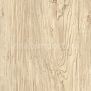 Виниловый ламинат Moduleo Transform Wood Click Latin Pine 24110