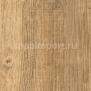 Виниловый ламинат Moduleo Transform Wood Click Latin Pine 24237