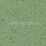 Покрыте для чистых зон Gerflor Mipolam BioControl 5347 — купить в Москве в интернет-магазине Snabimport