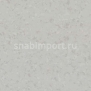 Коммерческий линолеум Gerflor Mipolam Symbioz 6010 — купить в Москве в интернет-магазине Snabimport