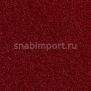 Контрактный ковролин Condor Сarpets Miracle 122 Красный — купить в Москве в интернет-магазине Snabimport