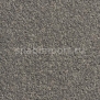 Контрактный ковролин Condor Сarpets Miracle 73 Серый — купить в Москве в интернет-магазине Snabimport