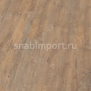 Виниловый ламинат Wineo AMBRA WOOD MULTI-LAYER Boston Pine Cream MLPI71717AMW-N коричневый — купить в Москве в интернет-магазине Snabimport