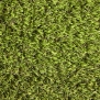 Искусственная трава Lano Pro Lawn Multi-Lane зеленый — купить в Москве в интернет-магазине Snabimport