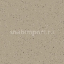 Каучуковое покрытие Nora noraplan stone 6610 Бежевый — купить в Москве в интернет-магазине Snabimport