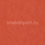 Виниловый ламинат Wineo Purline Levante Red Berry PB00010LE красный — купить в Москве в интернет-магазине Snabimport
