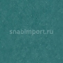 Виниловый ламинат Wineo Purline Levante Jungle Green PB00018LE зеленый — купить в Москве в интернет-магазине Snabimport