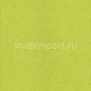 Виниловый ламинат Wineo Purline Levante Apple Green PB00185LE зеленый — купить в Москве в интернет-магазине Snabimport