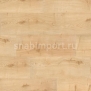 Виниловый ламинат Wineo Purline Bioboden 1000 wood PLC005R