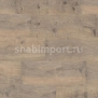 Виниловый ламинат Wineo Purline Bioboden 1000 wood PLC042R