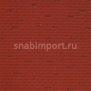 Ковровое покрытие Carpet Concept Ply Line burnt sienna Красный — купить в Москве в интернет-магазине Snabimport