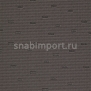 Ковровое покрытие Carpet Concept Ply Line warm grey Серый — купить в Москве в интернет-магазине Snabimport