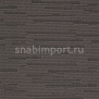 Ковровое покрытие Carpet Concept Ply Scale warm grey Серый — купить в Москве в интернет-магазине Snabimport