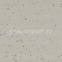 Коммерческий линолеум Gerflor Taralay Premium Compact 3788 — купить в Москве в интернет-магазине Snabimport