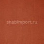 Ковровое покрытие ITC Balta Prominent 66 коричневый — купить в Москве в интернет-магазине Snabimport