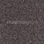 Контрактный ковролин Condor Сarpets Rubin 149 Серый — купить в Москве в интернет-магазине Snabimport