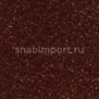 Контрактный ковролин Condor Сarpets Rubin 210 коричневый — купить в Москве в интернет-магазине Snabimport