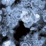 Ковер Durkan Print Nano Nature S23698