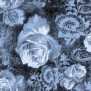 Ковер Durkan Print Nano Nature S23700