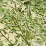 Ковер Durkan Print Nano Nature S23931