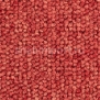 Ковровое покрытие Balsan Santa Fe DD 550 RUBIS