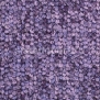 Ковровое покрытие Balsan Santa Fe DD 880 PRUNE