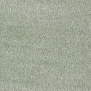 Ковровое покрытие Associated Weavers Secret New-25