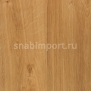 Дизайн плитка Amtico First Wood SF3W2498 коричневый — купить в Москве в интернет-магазине Snabimport