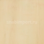 Дизайн плитка Amtico First Wood SF3W2501