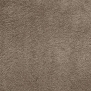 Ковровое покрытие Associated Weavers Silk-49