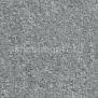 Контрактный ковролин Condor Сarpets Smaragd 74 Серый — купить в Москве в интернет-магазине Snabimport