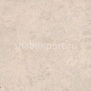 Пробковые покрытия Aberhof Basic Solar Basic