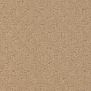 Ковровое покрытие Masland Southport 9540-236