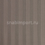 Ковровое покрытие Carpet Concept Sqr Basic Stripe 5 warm grey Серый — купить в Москве в интернет-магазине Snabimport